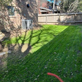 yard care by Re Image lawn care reviewed on August 19, 2025