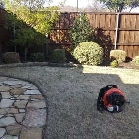 Bush Trimming by LuJacks Services reviewed on August 20, 2025