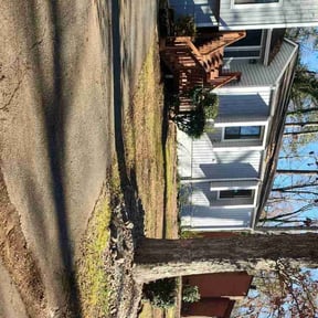 Leaf Removal by Georgia Grounds Management LLC reviewed on December 25, 2025