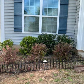Bush Trimming by Better Business Professionals reviewed on August 20, 2025