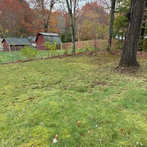 Leaf Removal by H.I.S Landscaping and more  reviewed on October 18, 2025