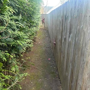 Leaf Removal by ERAZO reviewed on December 1, 2025