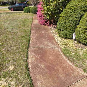 Bush Trimming by My Dad Can reviewed on March 25, 2026