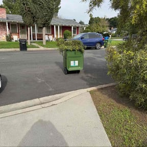 Bush Trimming by Waters Landscaping reviewed on January 18, 2026