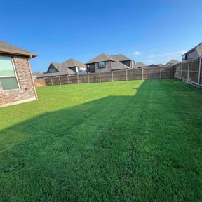 lawn care services by TS LAWN CARE LLC reviewed on November 22, 2024
