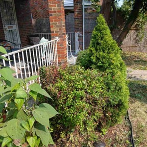 Bush Trimming by Garretts lawn care reviewed on August 17, 2023