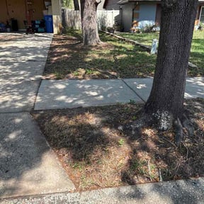 Leaf Removal by Greenwood Irrigation &amp; Lawn Care LLC reviewed on March 13, 2026