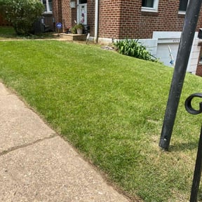 lawn service by S.A.E Lawncare &amp; Landscaping reviewed on August 15, 2025