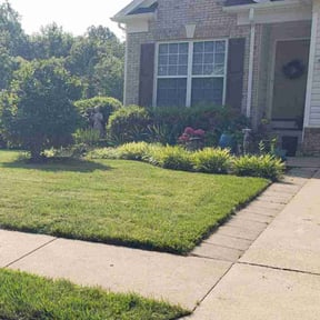 yard care by Belleaire Lawn Care reviewed on August 17, 2025