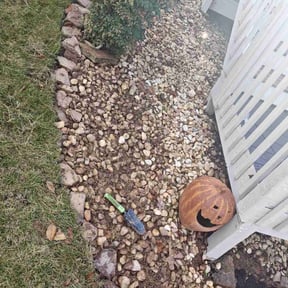 Flower Bed Weeding by All Around The House reviewed on November 25, 2025