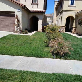 landscaping by Fosters lawn and aeration LLC reviewed on August 17, 2025