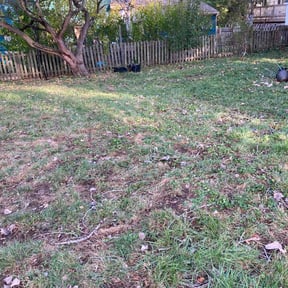 Leaf Removal by AMAZING GRAZERS reviewed on November 10, 2025