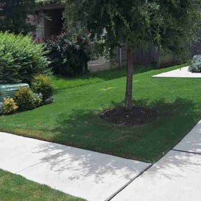 yard service by NIC LAWN SERVICES reviewed on August 21, 2025