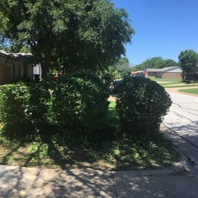 Bush Trimming by Back Street Properties, LLC reviewed on August 15, 2025