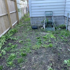 Leaf Removal by Cookie. Cutterz llc reviewed on September 27, 2025