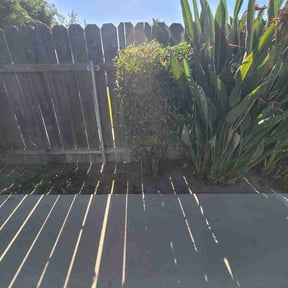 Bush Trimming by Gallaghers greens reviewed on August 4, 2026