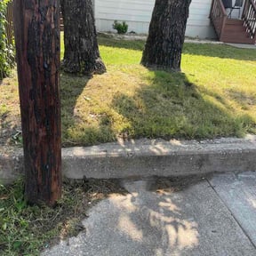 Flower Bed Weeding by Heritage Landscape design reviewed on May 26, 2026
