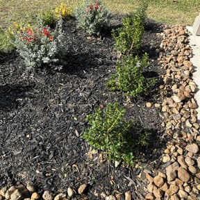 Lawn Mowing by  reviewed on September 6, 2025