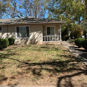 Leaf Removal by Archi&#039;s Lawn Care reviewed on September 26, 2025