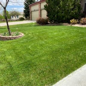 landscaping services by Mowpro reviewed on August 21, 2025