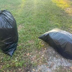 Leaf Removal by Tidewater Green reviewed on September 14, 2025