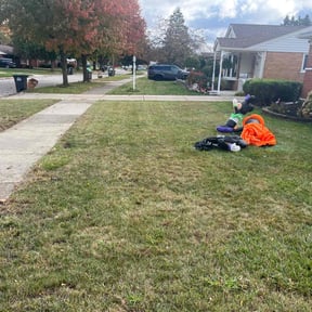 Leaf Removal by Escobar lawn care services reviewed on November 10, 2025