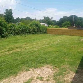 Bush Trimming by Miramontes Landscaping reviewed on August 20, 2025