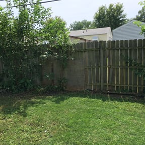 Bush Trimming by Rjm reviewed on August 21, 2025