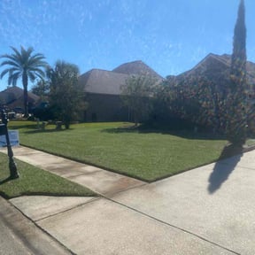landscaping services by Mow Pro's Llc reviewed on August 18, 2025