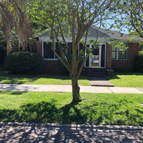 Bush Trimming by C&J Landscaping reviewed on August 21, 2025