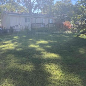 Leaf Removal by Allentown lawn &amp; landscape reviewed on November 7, 2025