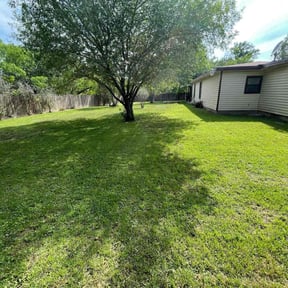 yard work by WhyExperts LLC reviewed on August 21, 2025