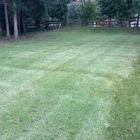 lawn care services by Green World Lawn Care reviewed on May 13, 2024