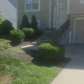 Bush Trimming by Superior Landscape & Maintenance, Inc. reviewed on August 21, 2025