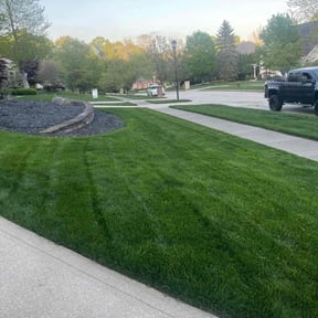 lawn care services by Guzman and Son Cleaning Service LLC reviewed on June 6, 2025