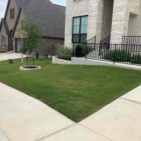 landscaping by Texas Lawn Cuts Landscaping reviewed on August 15, 2025
