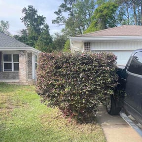 Bush Trimming by Blue Hen lawn care reviewed on April 8, 2026