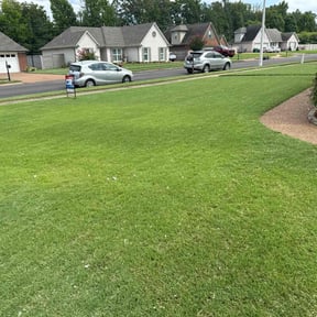 yard work by McNeals one touch reviewed on August 20, 2025