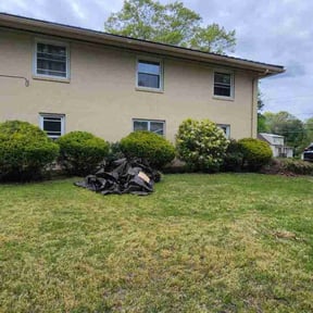 Bush Trimming by Top Notch Lawn Care& MAINTENCE reviewed on August 15, 2025