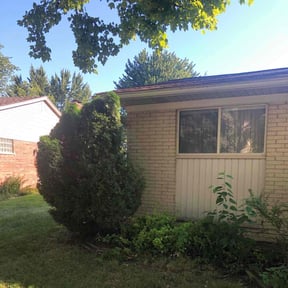 Bush Trimming by Salamanca's Landscaping LLC reviewed on August 19, 2025