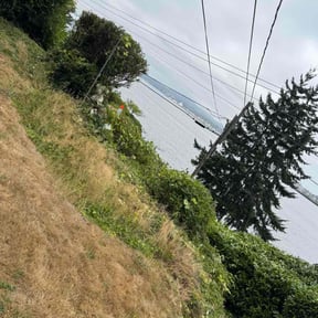 Bush Trimming by Country Cuts reviewed on October 7, 2021