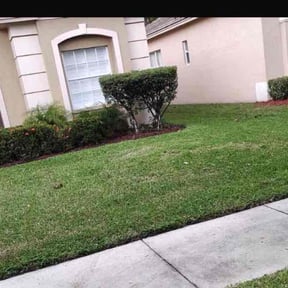 Bush Trimming by J&amp;l landscaping reviewed on December 24, 2025