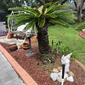 Bush Trimming by ABC Lawn Co. reviewed on August 18, 2025