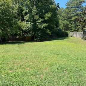 yard maintenance by Family affair reviewed on August 17, 2025