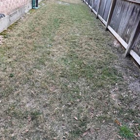 Leaf Removal by Robert Contreras lawn service llc reviewed on April 10, 2026