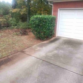 Bush Trimming by Catalina&#039;s Lawn Care reviewed on November 27, 2025