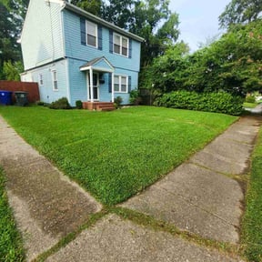 grass cutting by ALTEX reviewed on June 24, 2022