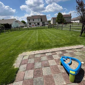 turf maintenance by JT lawn care grass guys reviewed on June 4, 2025