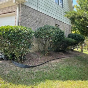 Bush Trimming by King of Lawn Care LLC reviewed on August 15, 2025