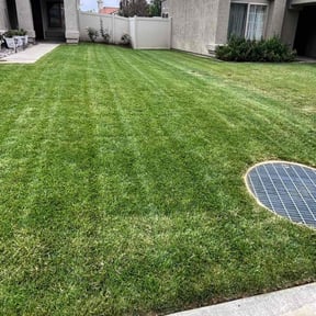 landscape maintenance by NATIONALYARDWORK.COM reviewed on August 15, 2025
